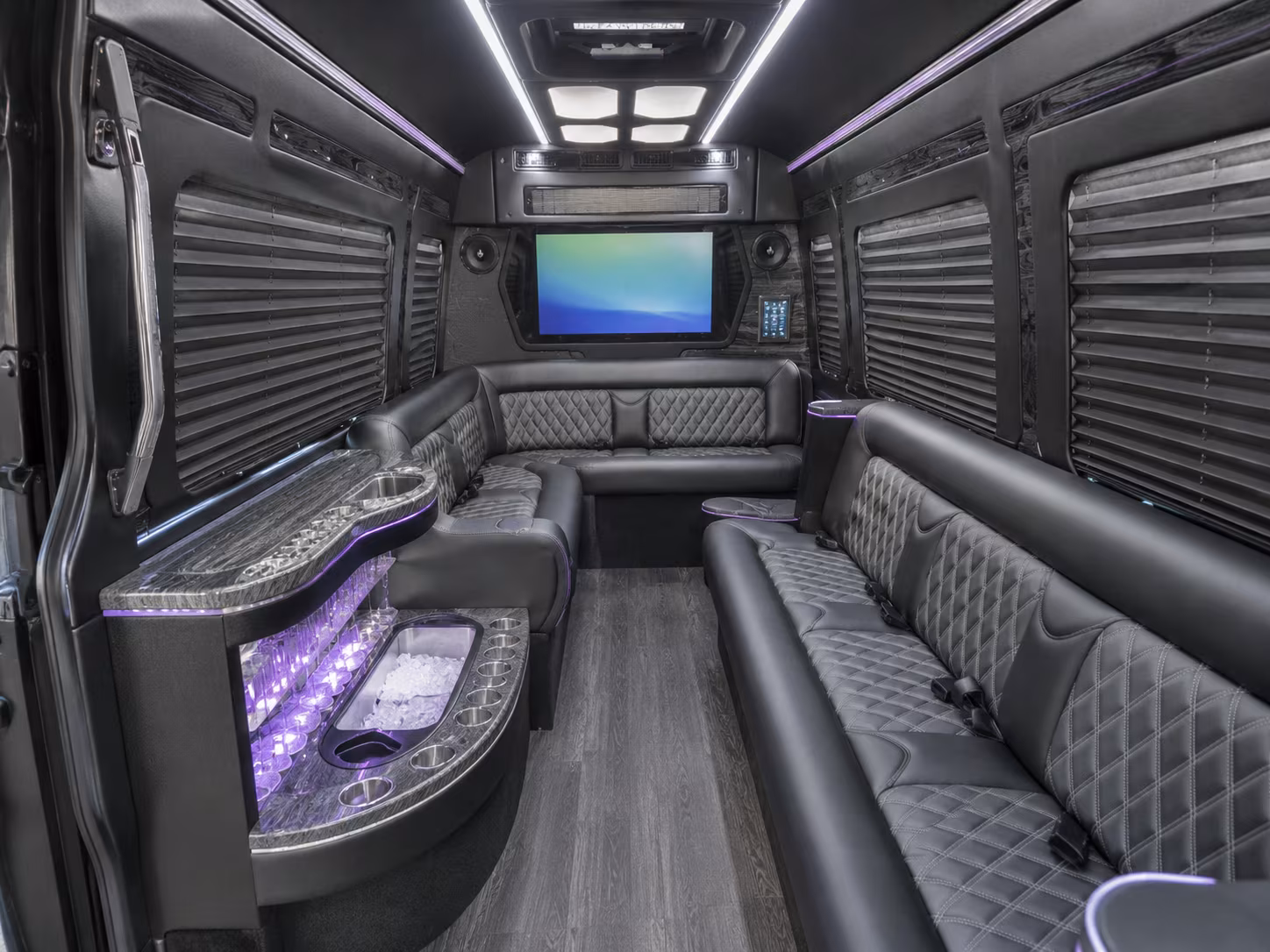 carrollton 18 passenger party bus interior